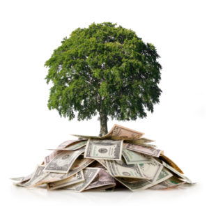 growing-money-tree-with-compound-interest